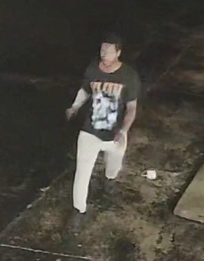 Authorities in Metro Detroit are on the lookout for thieves behind an alleged 'smash and grab' scheme that saw dozens of handguns and rifles stolen from two businesses in the last 48 hours.