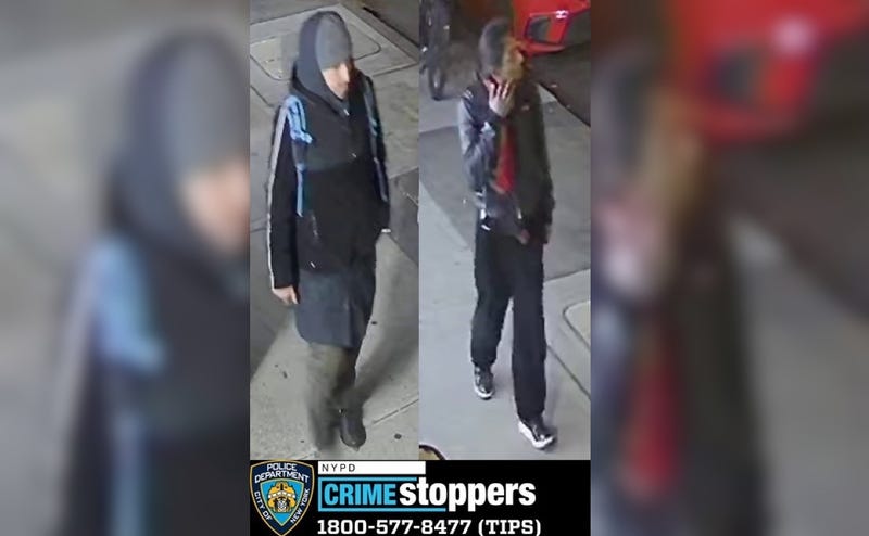 Police are searching for two suspects linked to at least eight robberies in northern Queens