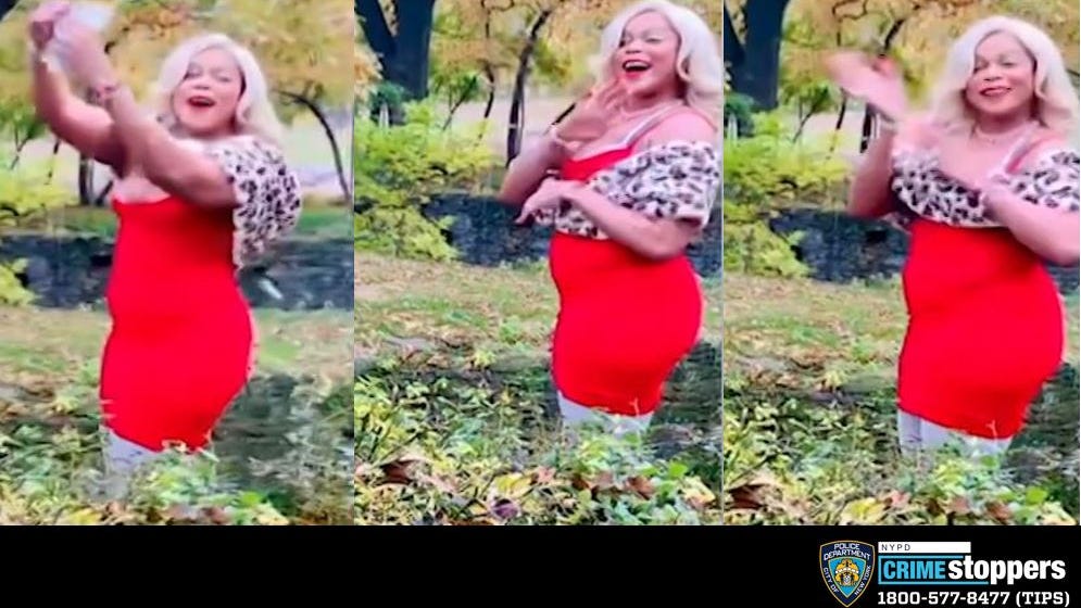 VIDEO: Bronx Zoo 'Lion Lady' climbs barrier at lion exhibit again, dances and tosses cash