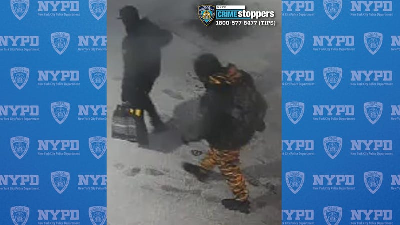The pair fled the scene with the victim's valuables