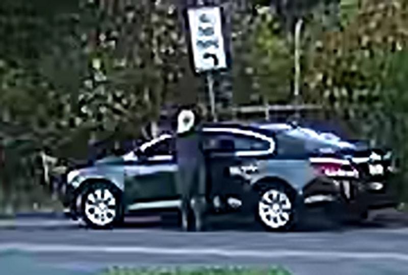 Image from video footage of woman who hung stuffed animals on nooses at Black political candidate's sign.