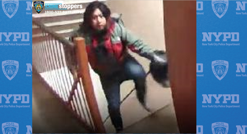 Police are searching for a man who followed a young girl into her Queens home and groped her.