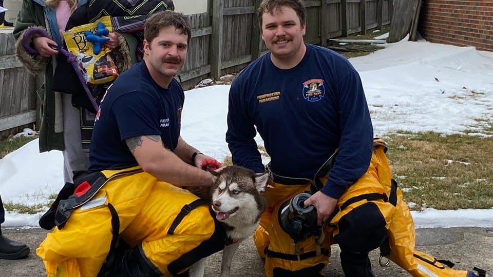 St. Clair Shores firefighters come to the aid of young dog that fell into sewer