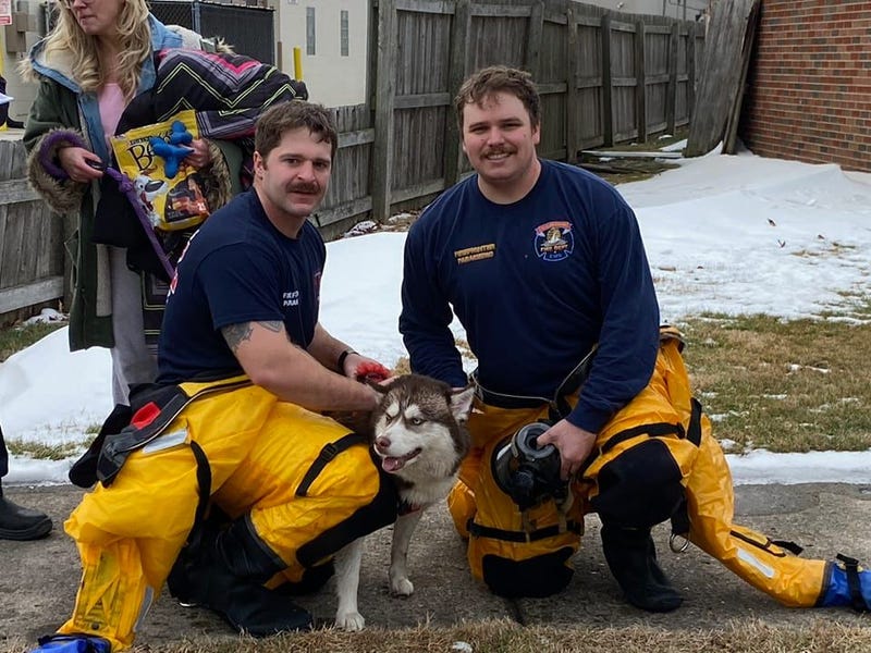There is no rescue too big or too small for authorities in St. Clair Shores -- not even if the call for help involves a furry, four-legged victim who managed to get stuck in a sewer.