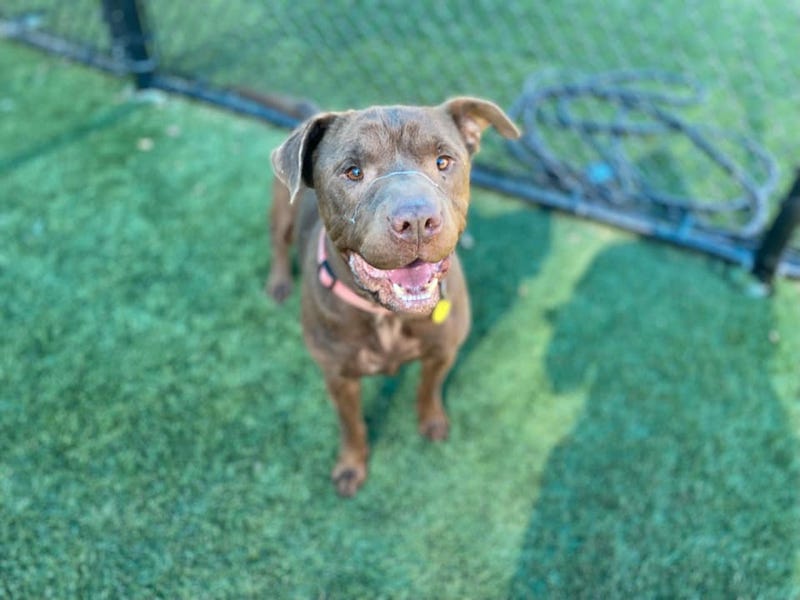 Coco #A1000762
