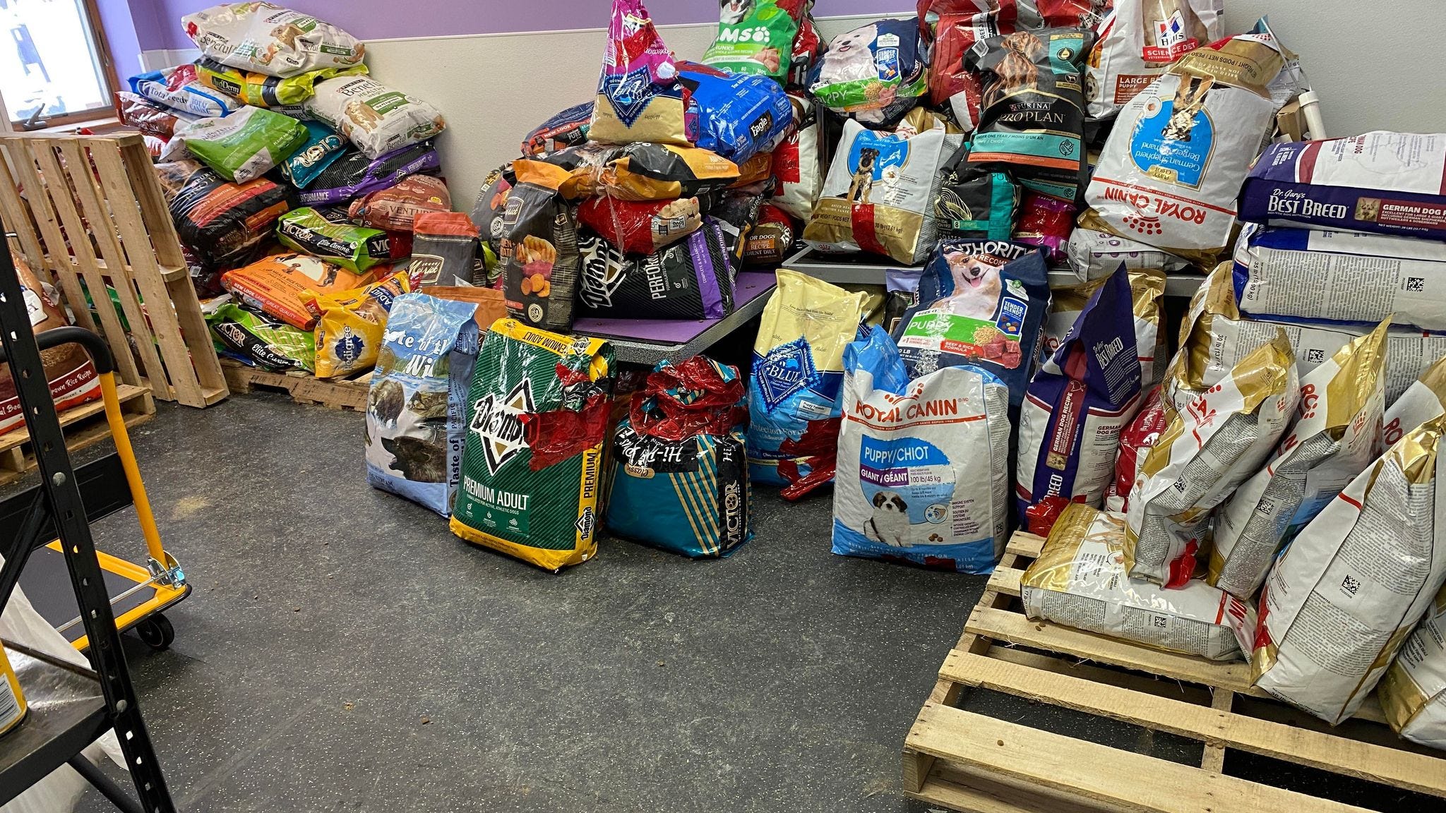 Detroit nonprofit helps struggling owners feed pets amid soaring inflation