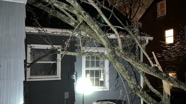 Major damage, historic calls for service reported in Ann Arbor as worst ice storm in a decade wallops city