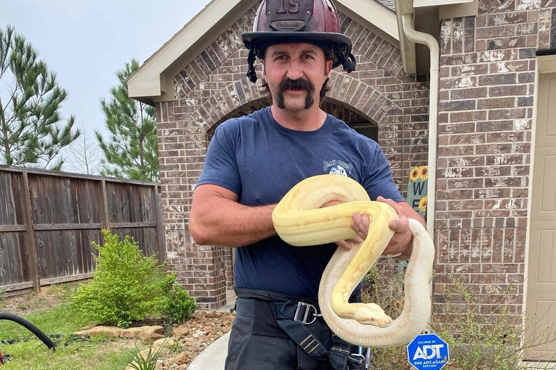 firefighter snake