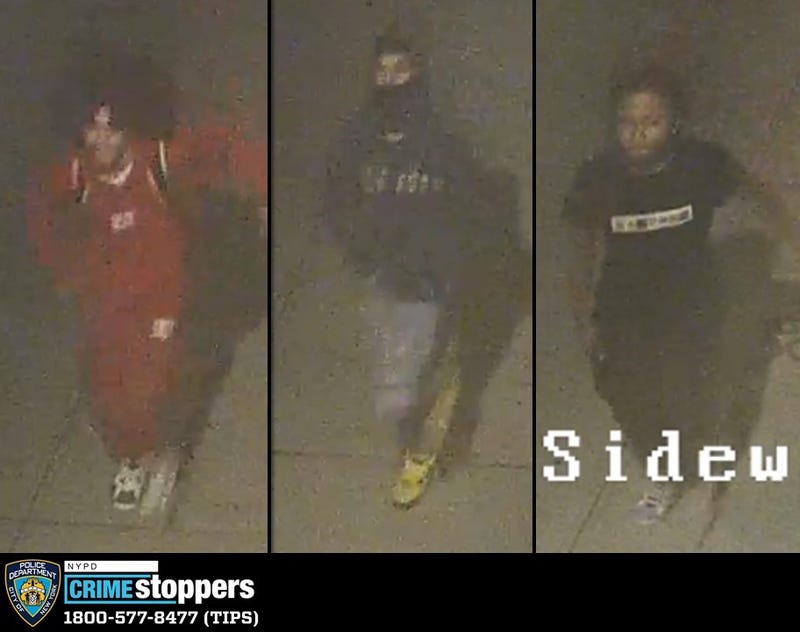 Bronx robbery suspects