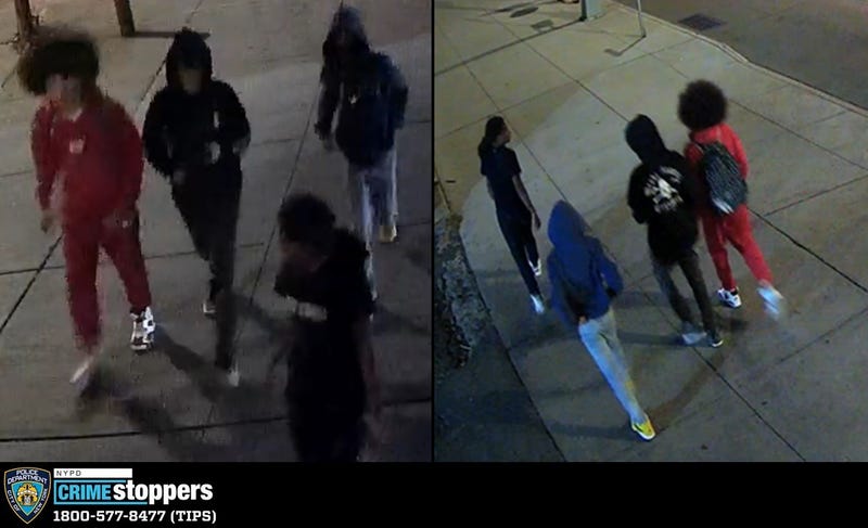 Bronx robbery suspects