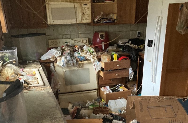 Four dogs were rescued and authorities are working to capture nearly a dozen cats from a hoarding situation at a Livingston County home.