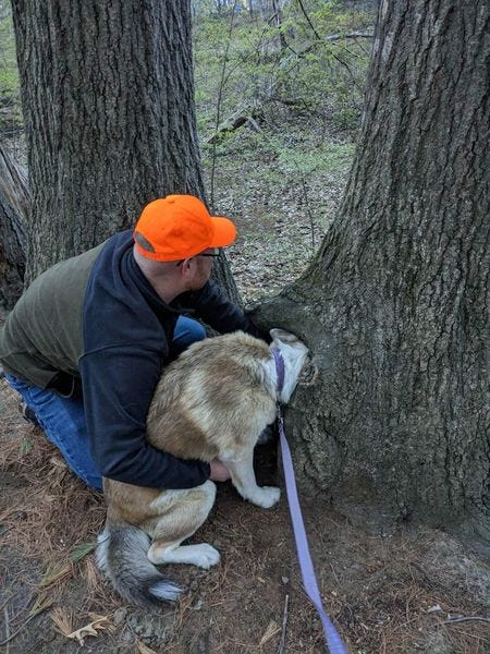 Milford firefighters working to free a dog.  