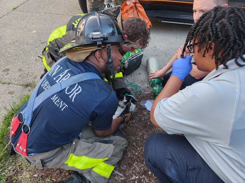 A catastrophic fire that destroyed two duplexes in Ann Arbor on Monday evening sprang up from a nearby fire pit where a resident was burning cardboard, fire officials said.