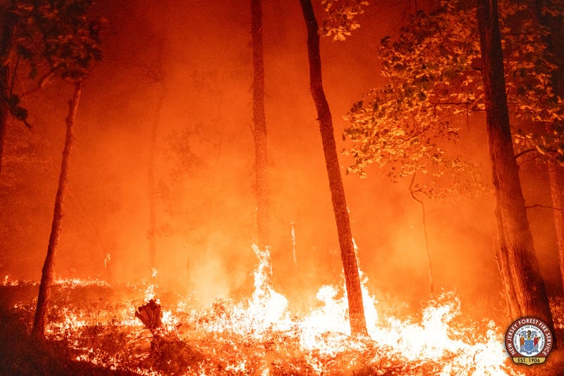 The New Jersey Forest Fire Service reached 100% containment of a 210-acre wildfire in the area of Elderberry Dr. & Jackson Rd. in Medford, Burlington County on June 3.