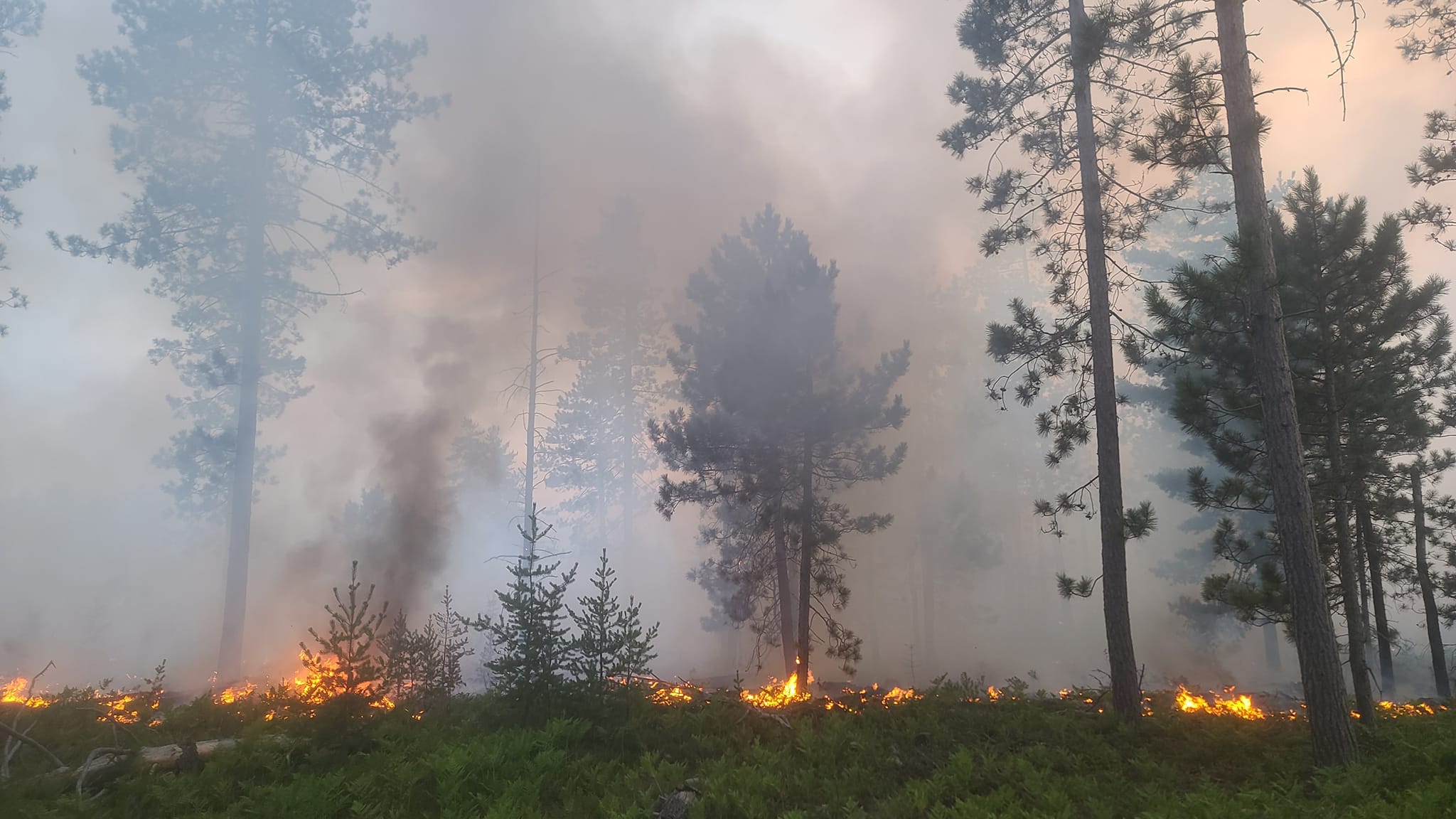 'Stay out of the area': Crews race through the night to contain wildfire in eastern U.P. [PHOTOS]