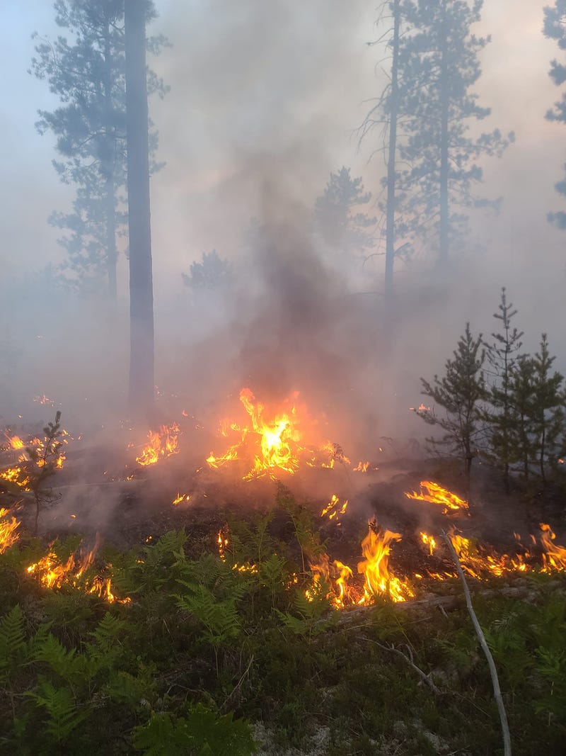 Officials are urging residents to steer clear as they work to contain and extinguish a wildfire that kindled in an eastern section of the Upper Peninsula.