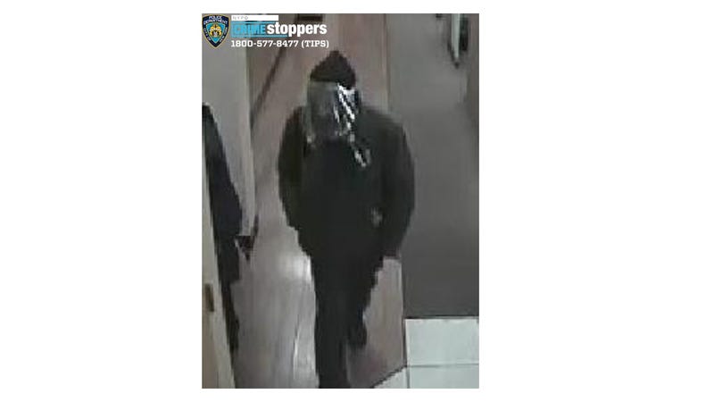 Attempted bank robbery - Bronx