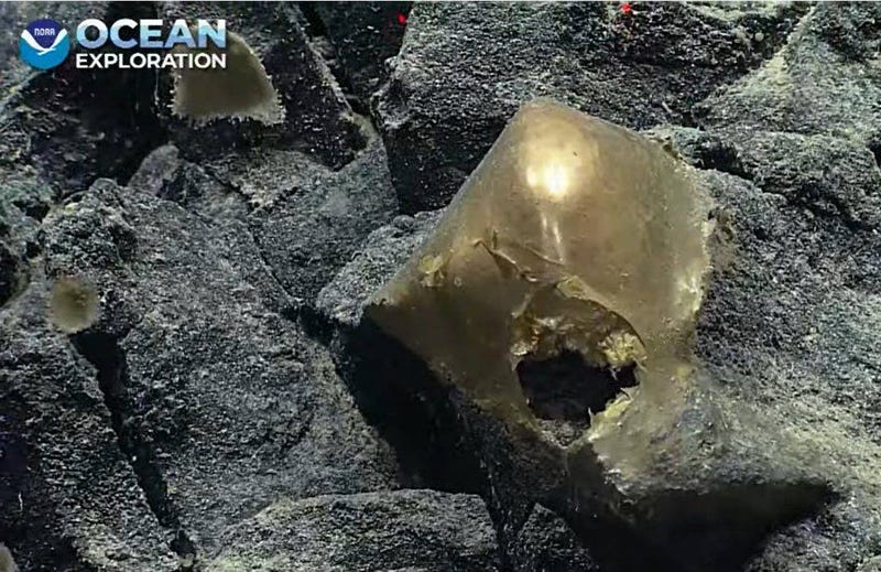 Gold orb