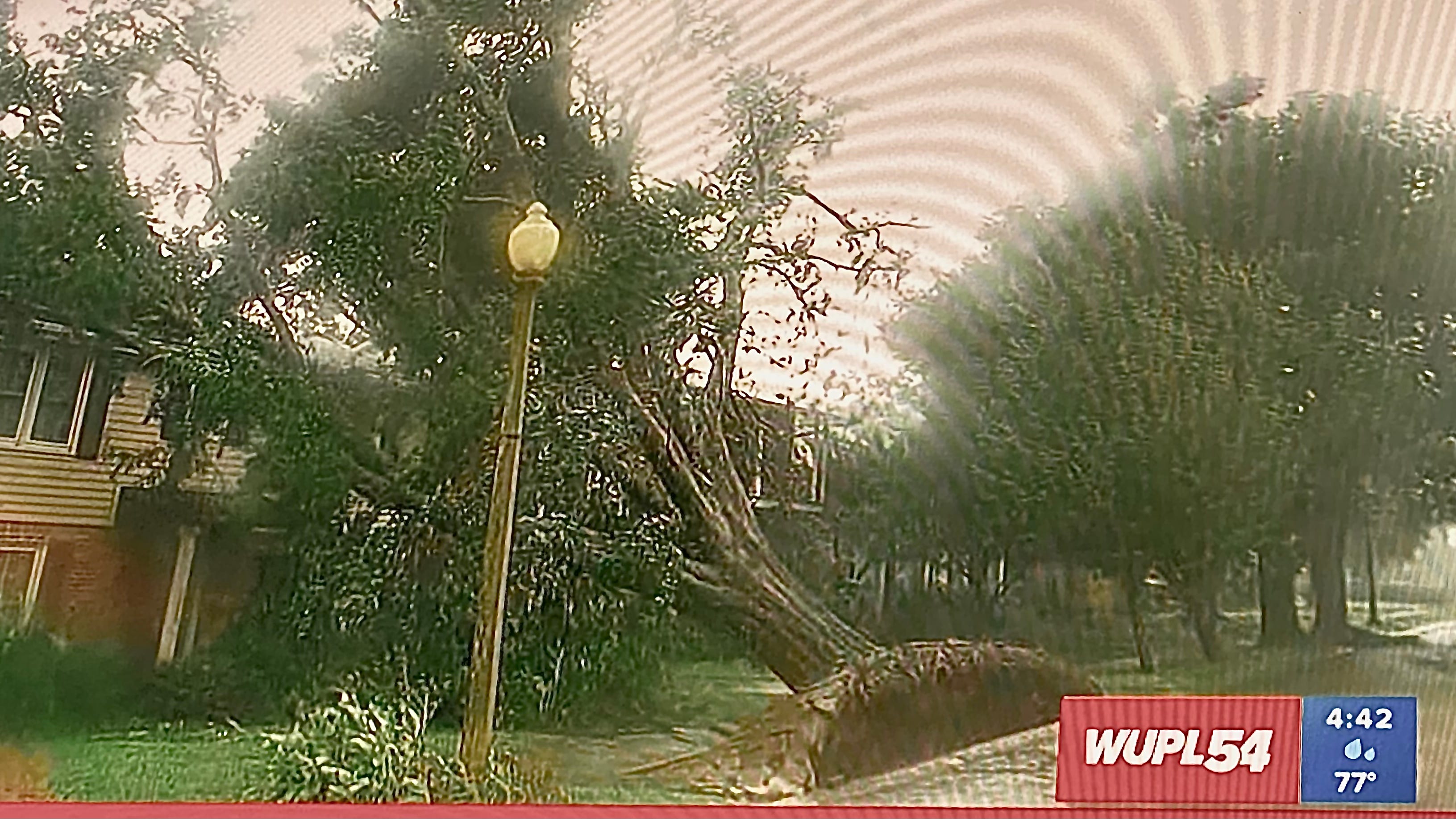Tracking Hurricane Ida's damage: Roof-ripping wind, trees leveled in south Louisiana