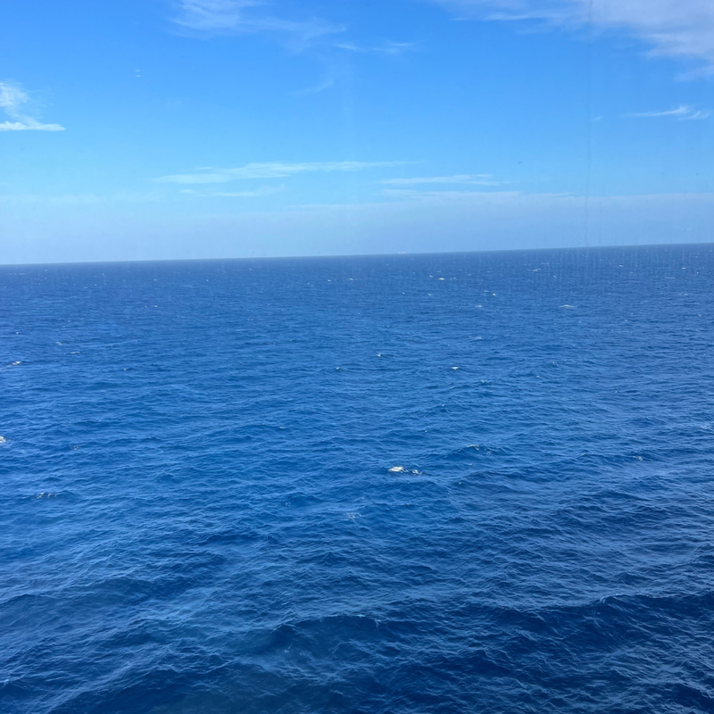 Bennett's Adventures Aboard Disney Dream