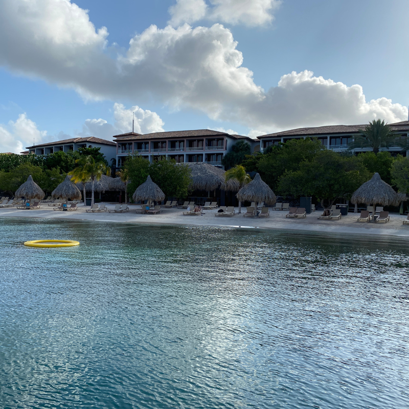 Coop's Adventures at Sandals® Royal Curaçao