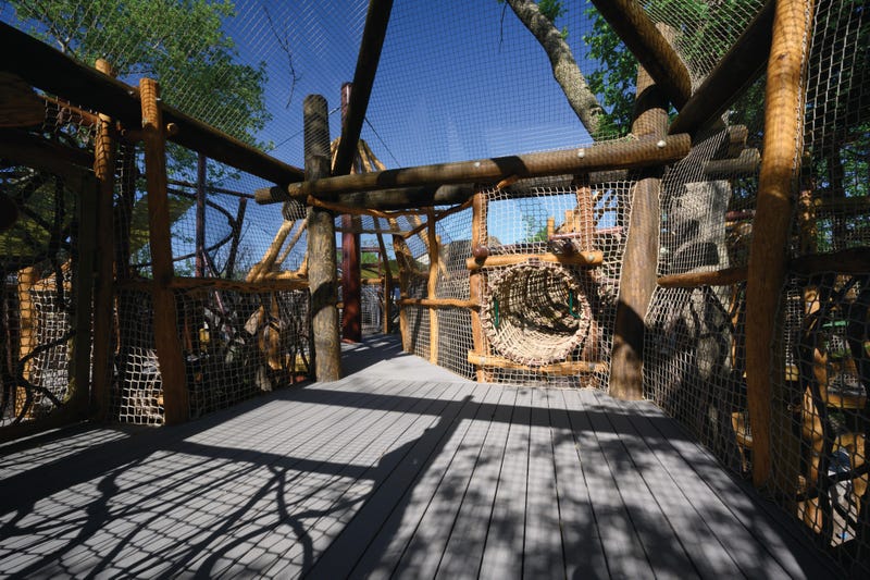 Primate Canopy Trails