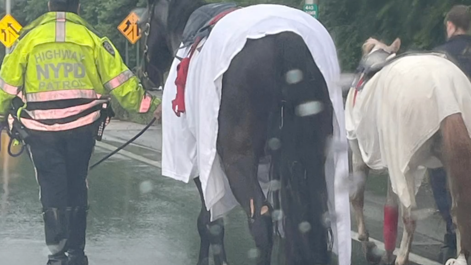 VIDEO: Horses fall from moving trailer on Staten Island highway