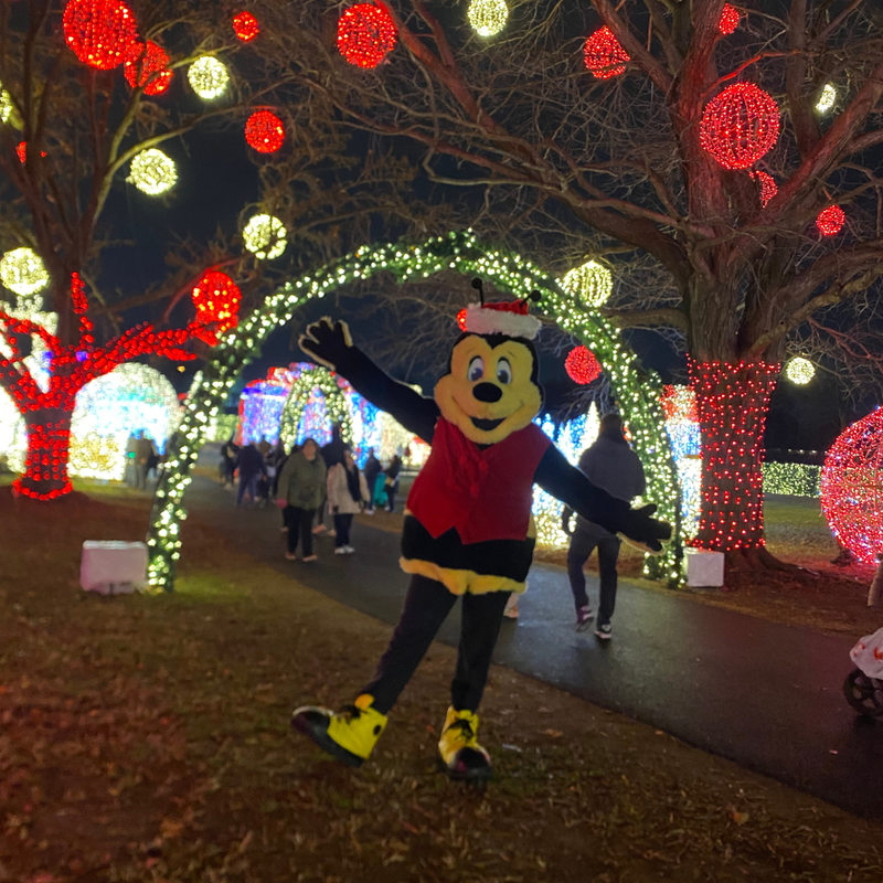 Jenn, Bill and Buzzbee’s Experience at Tinseltown Holiday Spectacular 2023