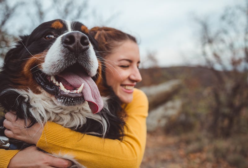 4 Easy Ways to Give Your Heart a Break – Bee Well