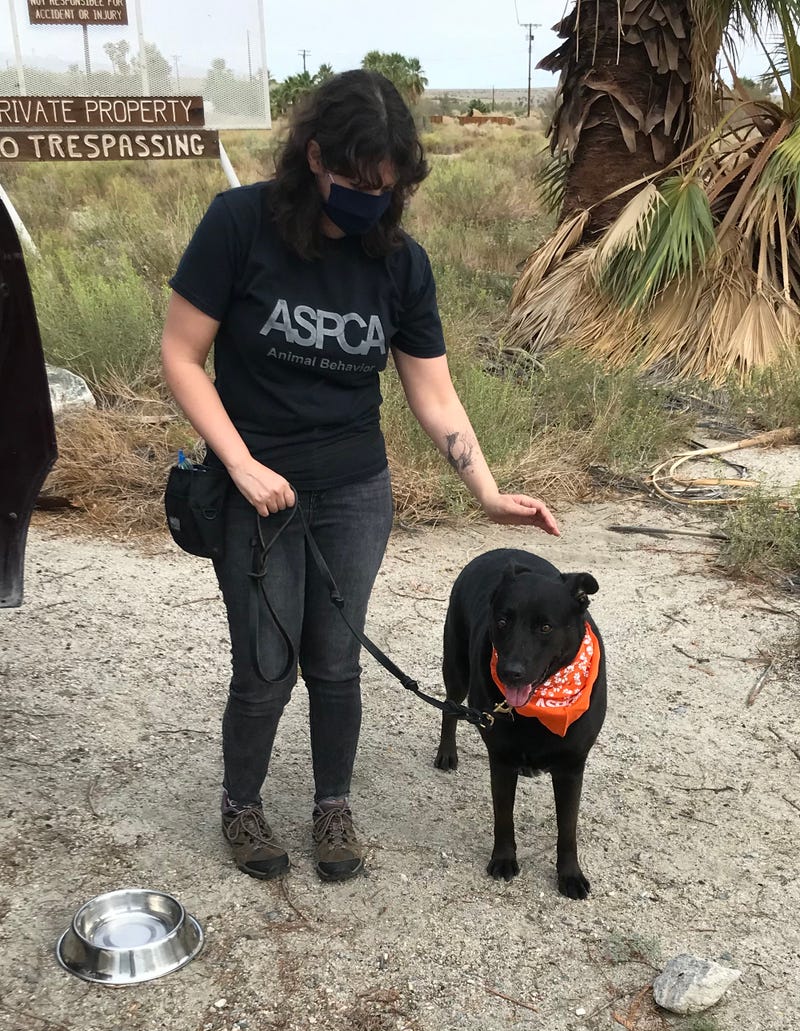 ASPCA