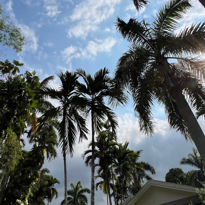 Bennett’s Adventures #LIVEfromJamaica and at Sandals® Ochi in Ocho Rios, Jamaica