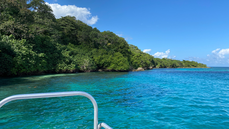 Bill Tafrow's Adventures at Sandals® Dunn's River in Jamaica