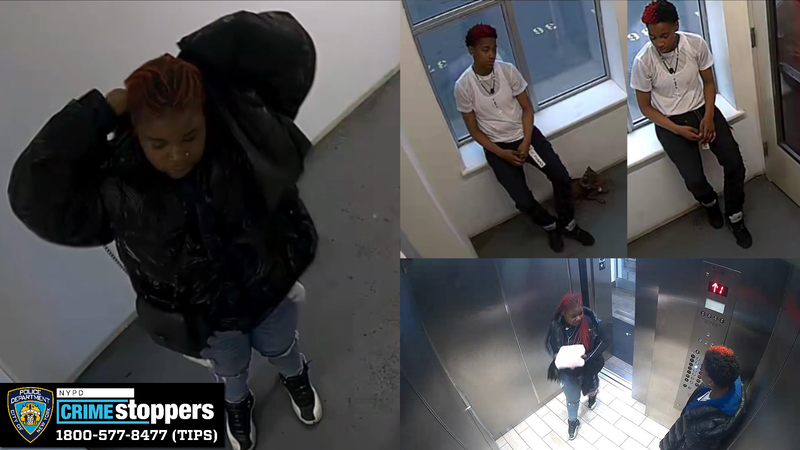 Police said the suspects walked out of the building with the dog