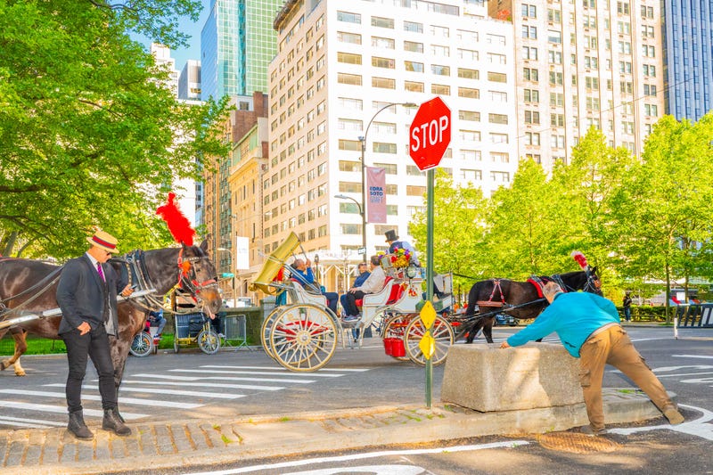 Horse-drawn carriages concentrate at an entrance to Central Park. 