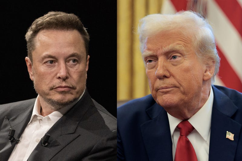 Elon Musk and Donald Trump