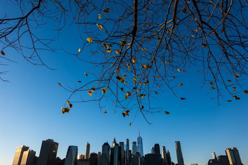 In 2024, New York experienced its driest autumn on record, with a record number of brush fires to match