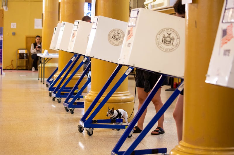 Voters cast ballots during the New York City mayoral primary in June