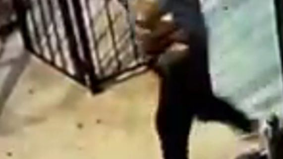 Man knocks woman to ground, slams her with door in Brooklyn purse-snatching