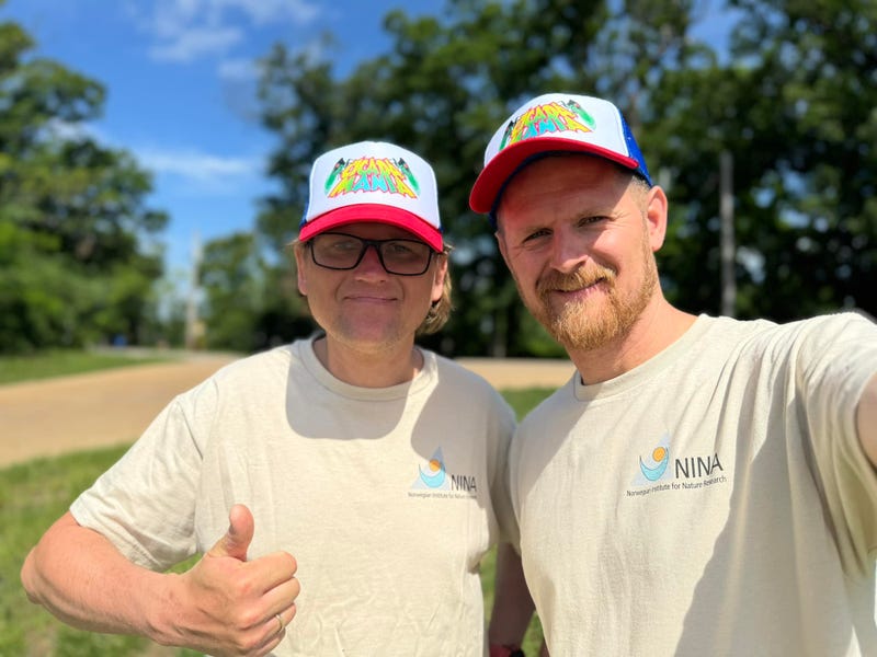Anders and Arnstein cicada enthusiasts