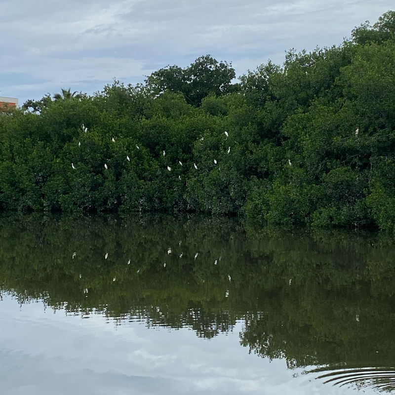 Coop's vacation #LIVEFromSandals at Sandals® Royal Curaçao