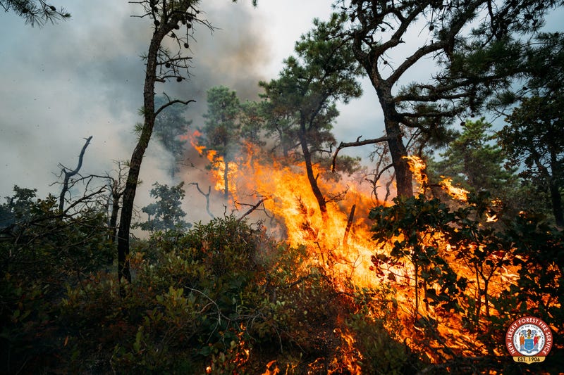 New Jersey officials battle a wildfire in Woodland Township, Burlington County on Aug. 26, 2024.