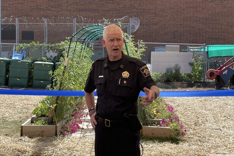 DuPage County Sheriff James Mendrick