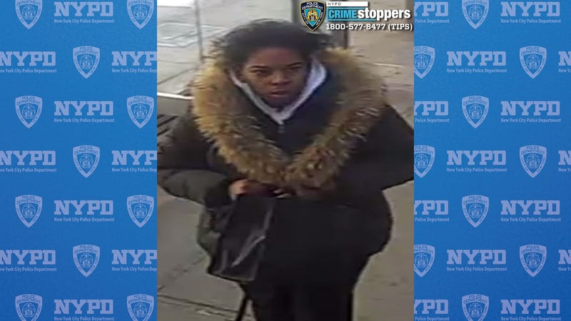 The suspect fled on foot and was last seen headed eastbound on East 161st Street, police said