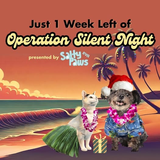 Operation Silent Night