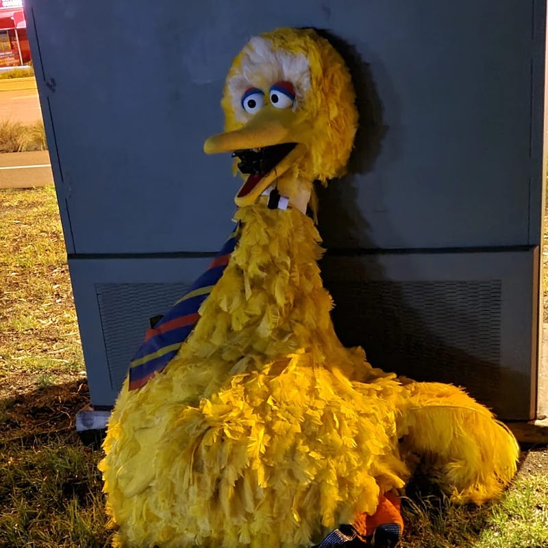 Big Bird costume stolen then returned in Australia