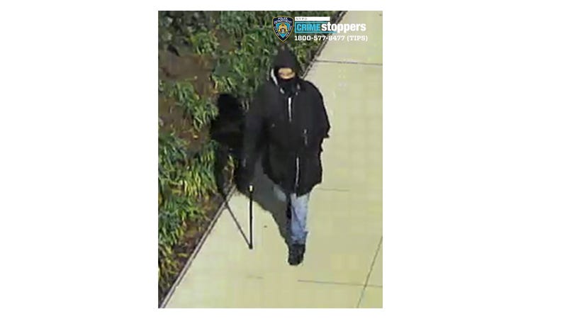 The suspect