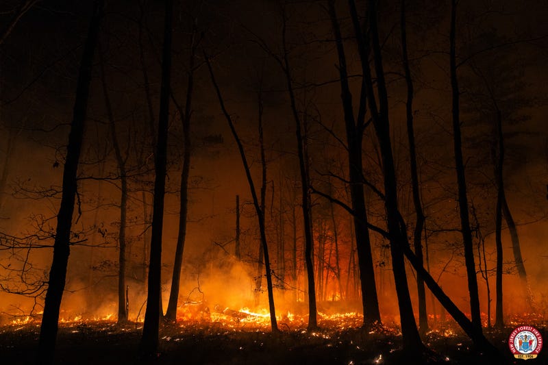 wildfire