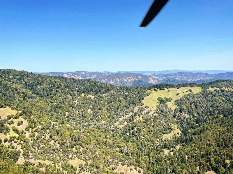 The view from the helicopter.