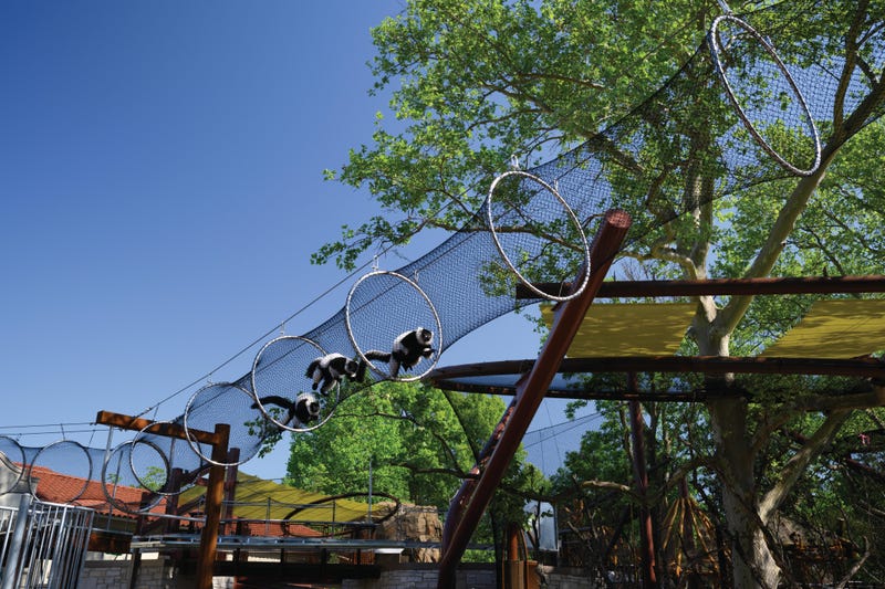 Primate Canopy Trails