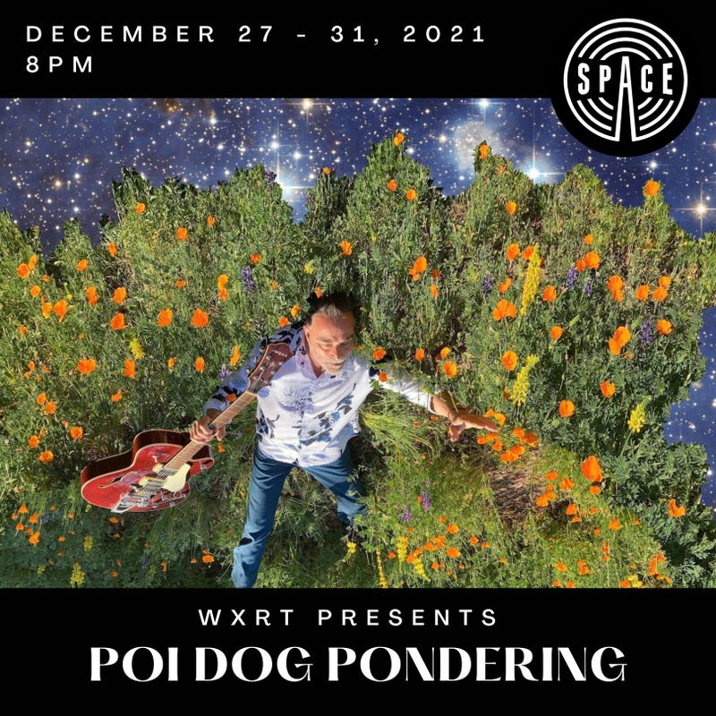 Poi Dog Pondering